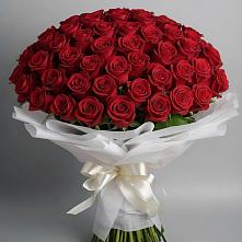 Букет 101 Красная роза Блэк Мэджик в Аничково