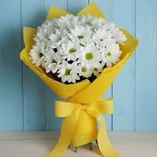 Букет цветов из:  Хризантемы в Аничково