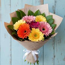 Букет цветов из:  Герберы #REPLACE_PRED# Аничково