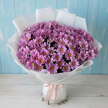 Букет цветов из:  Хризантемы в Аничково