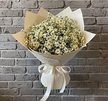 Букет цветов из:  Ромашки #REPLACE_PRED# Аничково