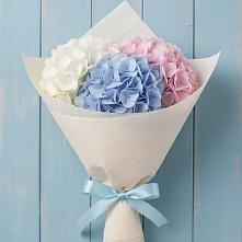 Букет цветов из:  Гортензия в Аничково