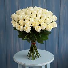 Букет 51 Белая роза Эдлесс Лав #REPLACE_PRED# Аничково