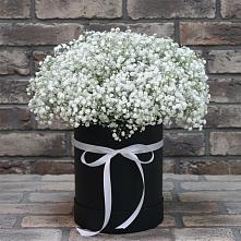 Цветочная композиция из Гипсофила в шляпной коробке в Аничково