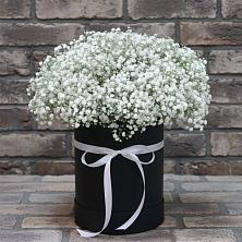 Цветочная композиция из Гипсофила в шляпной коробке в Аничково