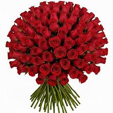 Букет Красные розы Чери Лав в Аничково