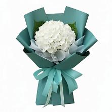 Букет цветов из:  Гортензия в Аничково